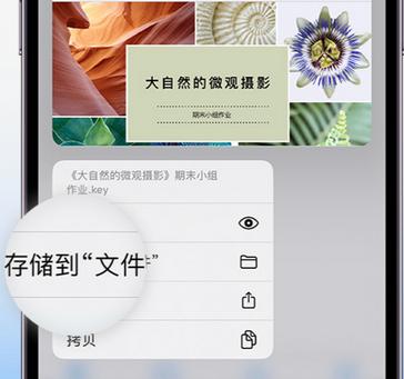 佛冈apple维修中心分享iPhone文件应用中存储和找到下载文件