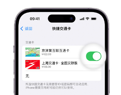 佛冈apple维修点分享iPhone上更换Apple Pay快捷交通卡手绘卡面 