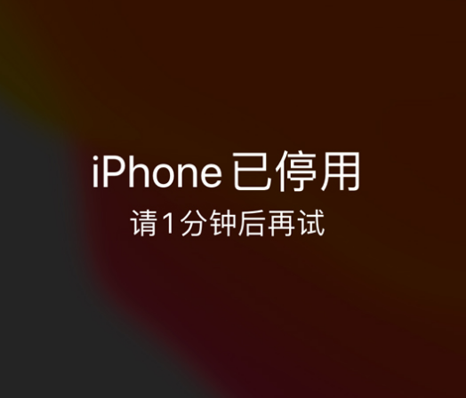 佛冈苹果手机维修分享:iPhone 显示“不可用”或“已停用”怎么办？还能保留数据吗？ 