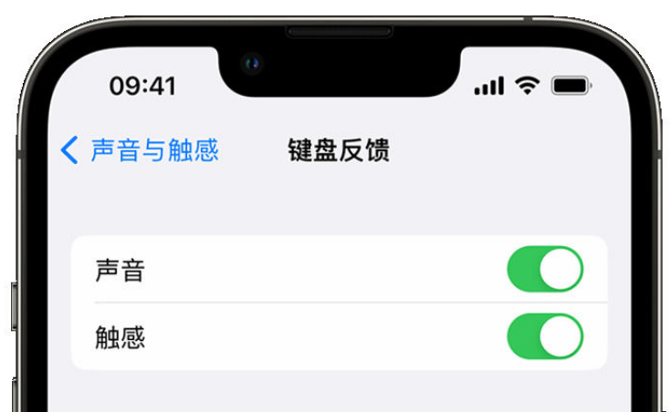 佛冈苹果手机维修分享iPhone 14触感键盘使用方法 