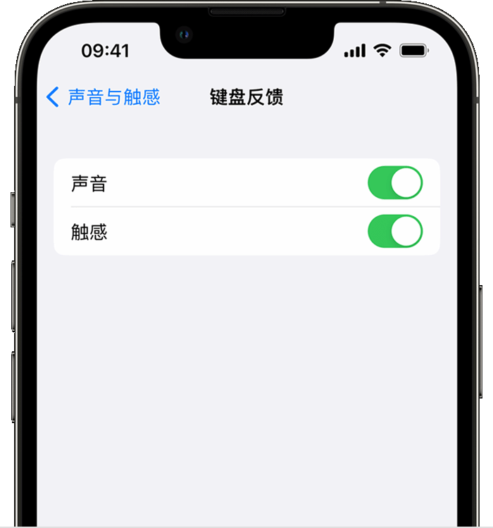 佛冈苹果14维修店分享如何在 iPhone 14 机型中使用触感键盘 