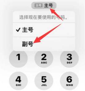 佛冈苹果14维修店分享iPhone 14 Pro Max使用副卡打电话的方法 