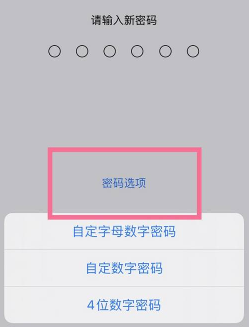 佛冈苹果14维修分享iPhone 14plus设置密码的方法 