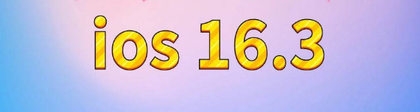 佛冈苹果服务网点分享苹果iOS16.3升级反馈汇总 