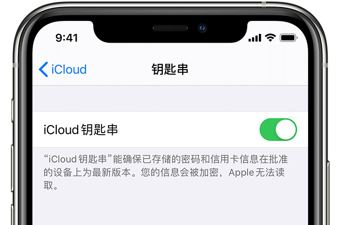 佛冈苹果手机维修分享在 iPhone 上开启 iCloud 钥匙串之后会储存哪些信息 