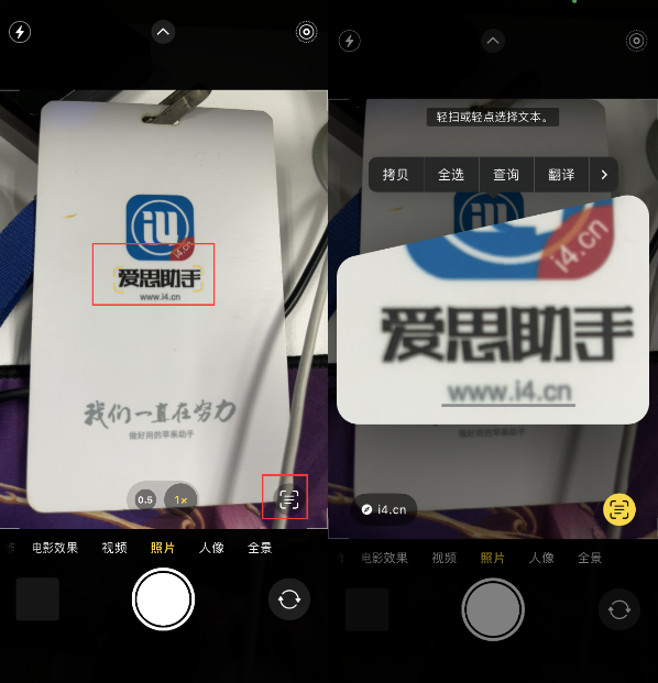 佛冈苹果手机维修分享升级iOS 16后如何通过相机翻译文本 