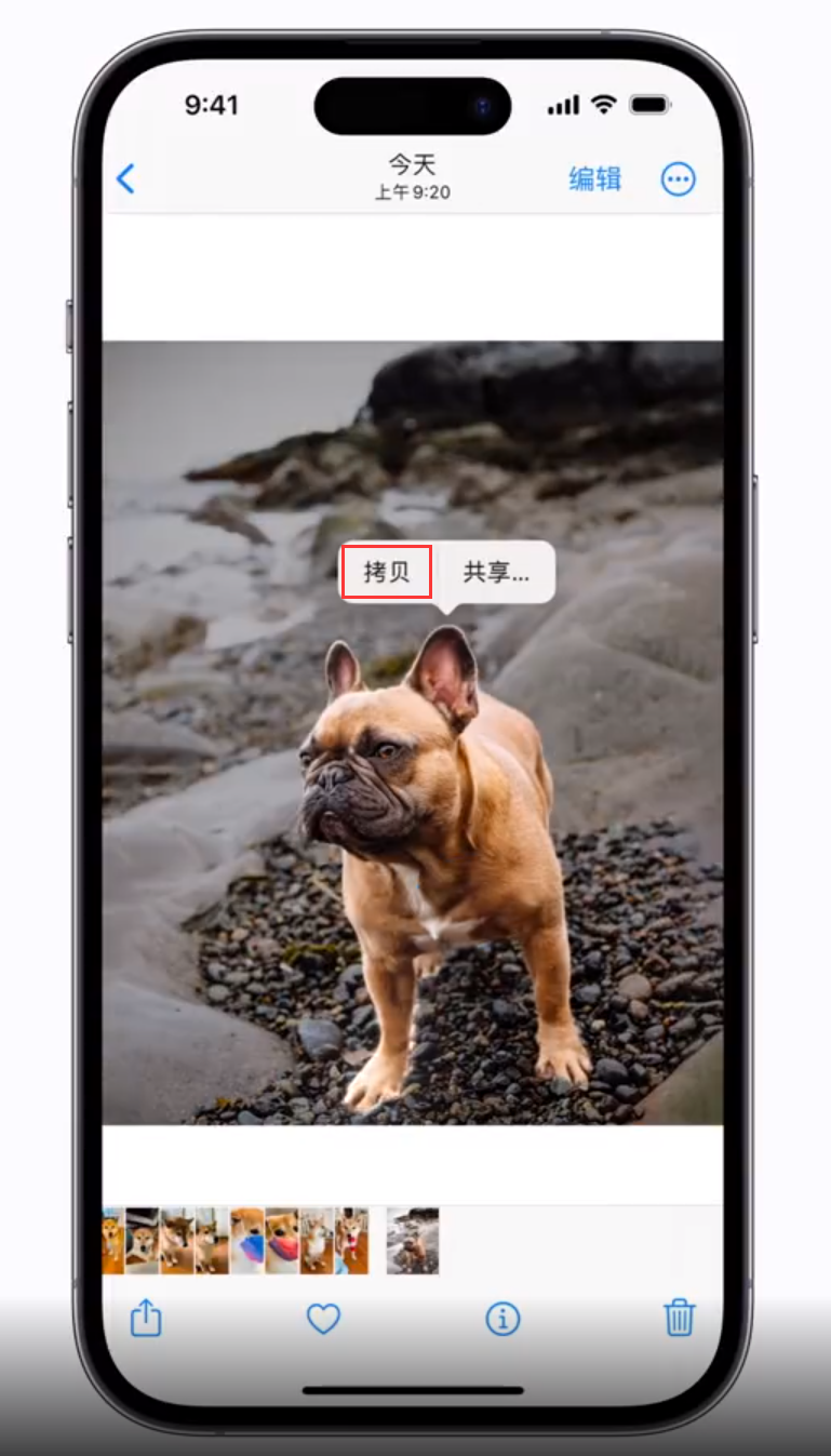 佛冈苹果手机维修分享 iOS 16 自带一键抠图功能 