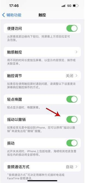 佛冈苹果手机维修分享iPhone手机如何设置摇一摇删除文字 