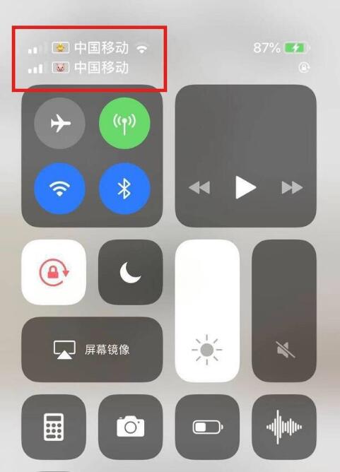佛冈苹果手机维修分享为 iPhone 12 双卡设置标签 